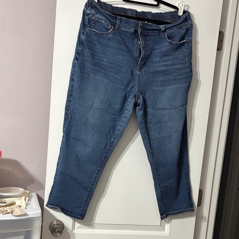 Terra & Sky Medium Blue Ankle Jeans